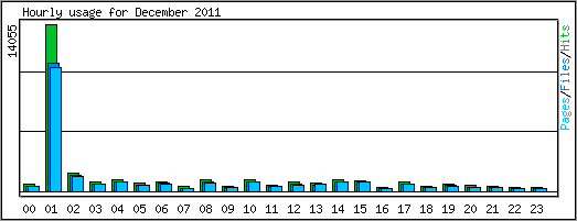 Hourly usage