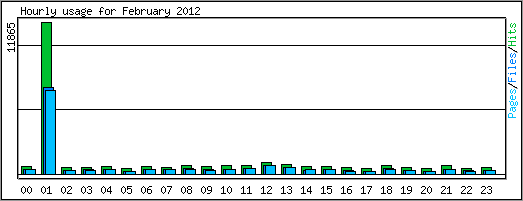 Hourly usage