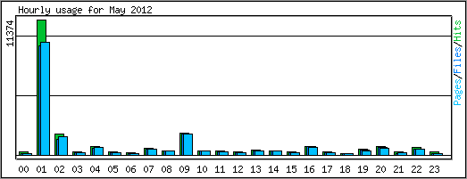 Hourly usage