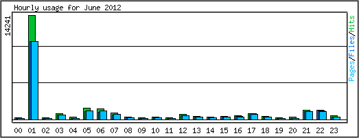 Hourly usage