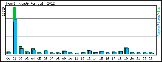 Hourly usage