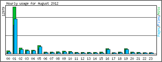 Hourly usage