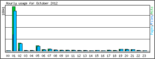 Hourly usage