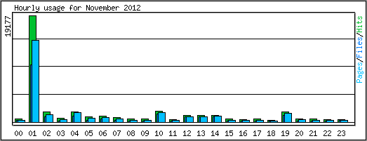 Hourly usage