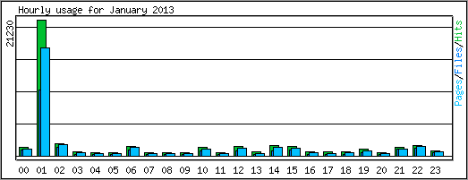 Hourly usage