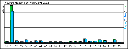 Hourly usage