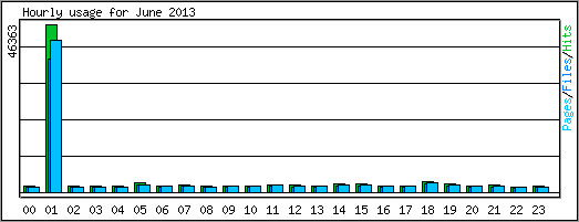 Hourly usage