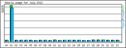 Hourly usage