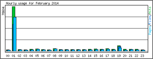 Hourly usage