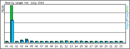 Hourly usage