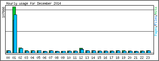 Hourly usage