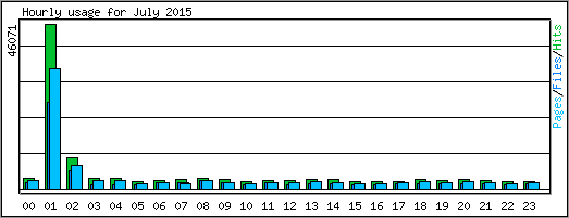 Hourly usage