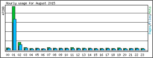 Hourly usage