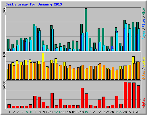 Daily usage for January 2013