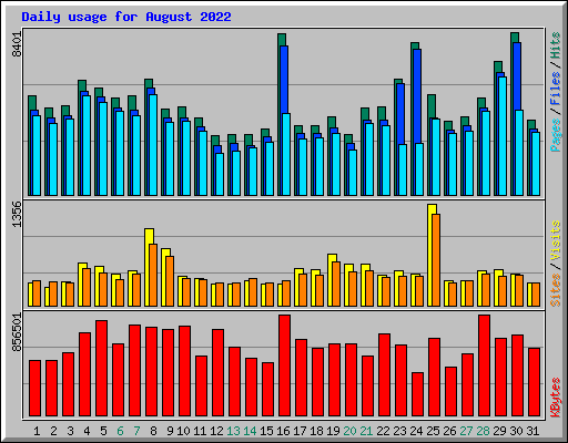 Daily usage for August 2022