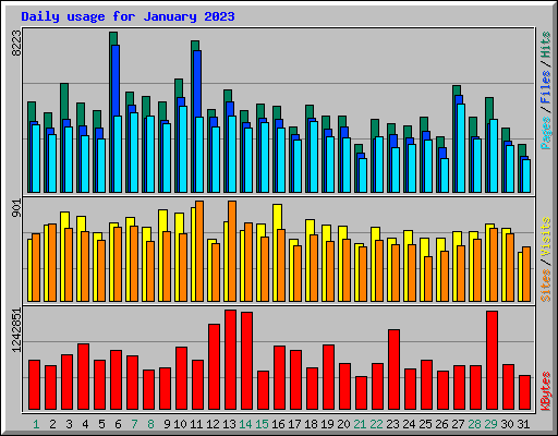 Daily usage for January 2023