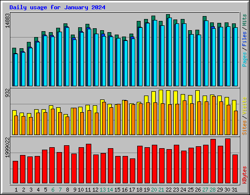 Daily usage for January 2024