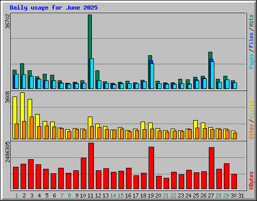Daily usage for June 2025