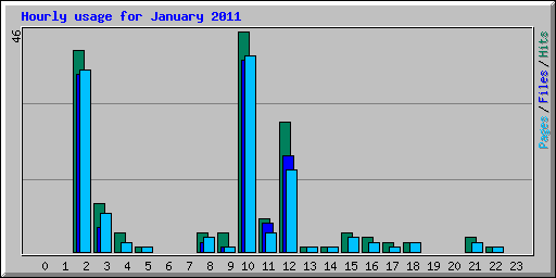 Hourly usage for January 2011