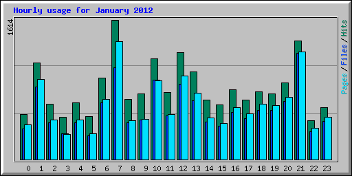 Hourly usage for January 2012