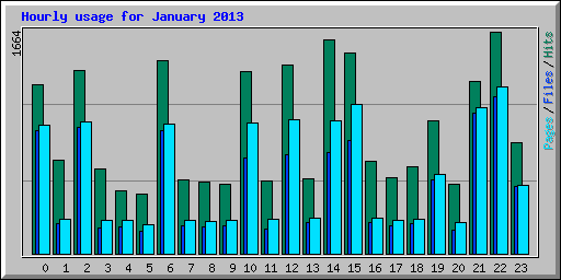 Hourly usage for January 2013