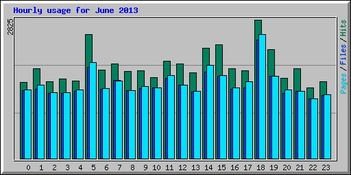 Hourly usage for June 2013