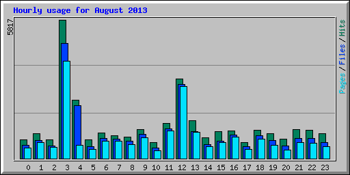 Hourly usage for August 2013