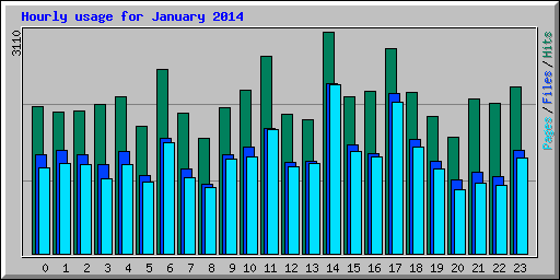 Hourly usage for January 2014