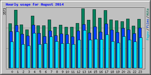 Hourly usage for August 2014