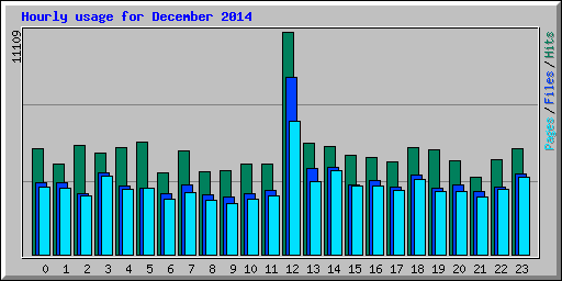 Hourly usage for December 2014