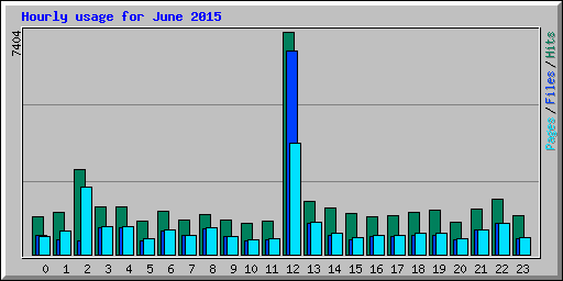 Hourly usage for June 2015