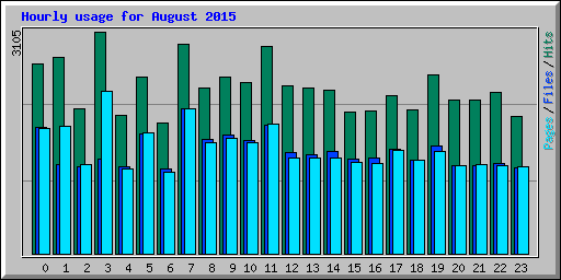 Hourly usage for August 2015