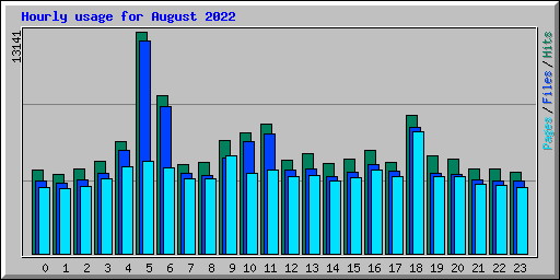 Hourly usage for August 2022