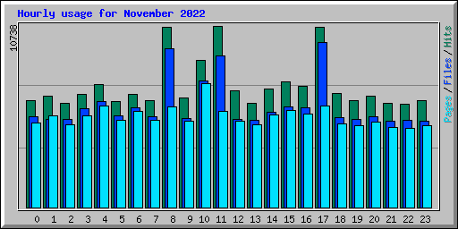 Hourly usage for November 2022