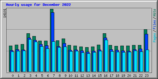 Hourly usage for December 2022