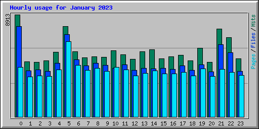 Hourly usage for January 2023