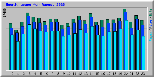 Hourly usage for August 2023