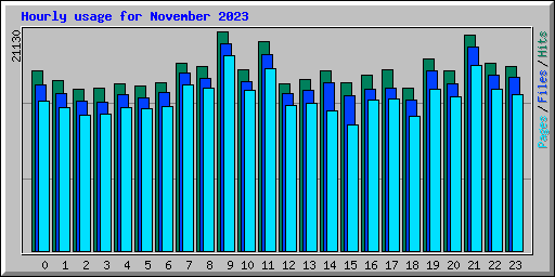 Hourly usage for November 2023