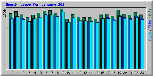 Hourly usage for January 2024