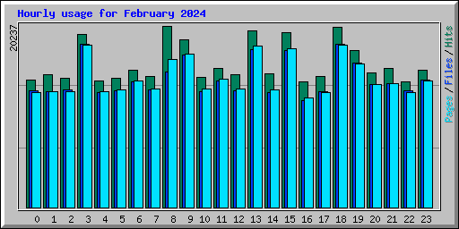 Hourly usage for February 2024