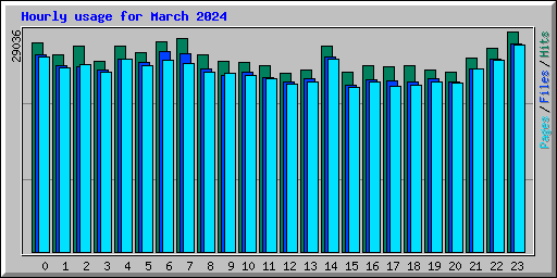 Hourly usage for March 2024